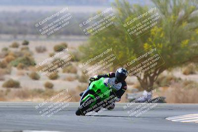 media/Apr-10-2022-SoCal Trackdays (Sun) [[f104b12566]]/Turn 5 Tree of Life (1040am)/